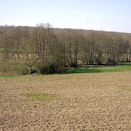 B&B D'hotes Les Colombes Montmort-Lucy